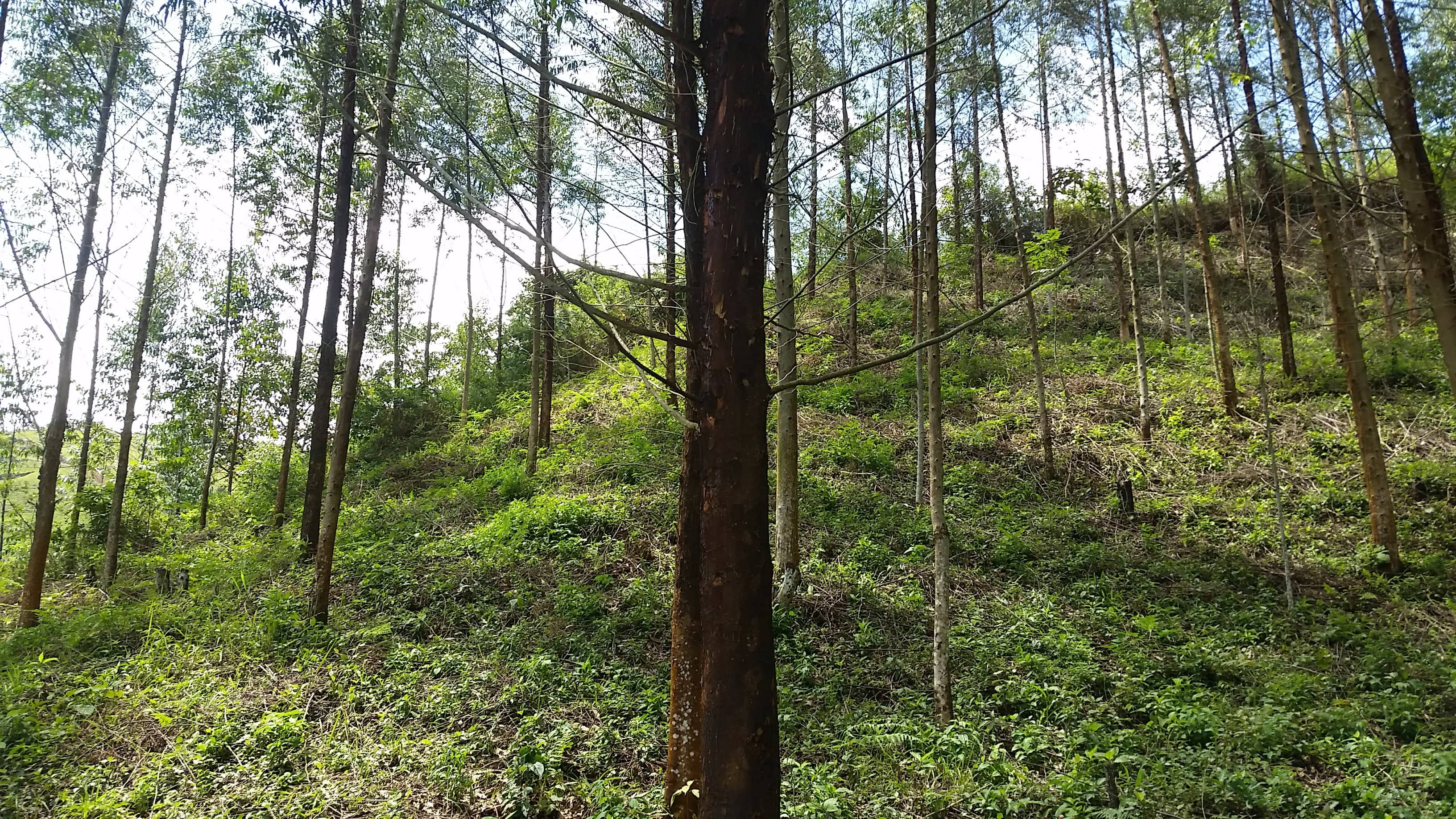 20191030_115421.jpg