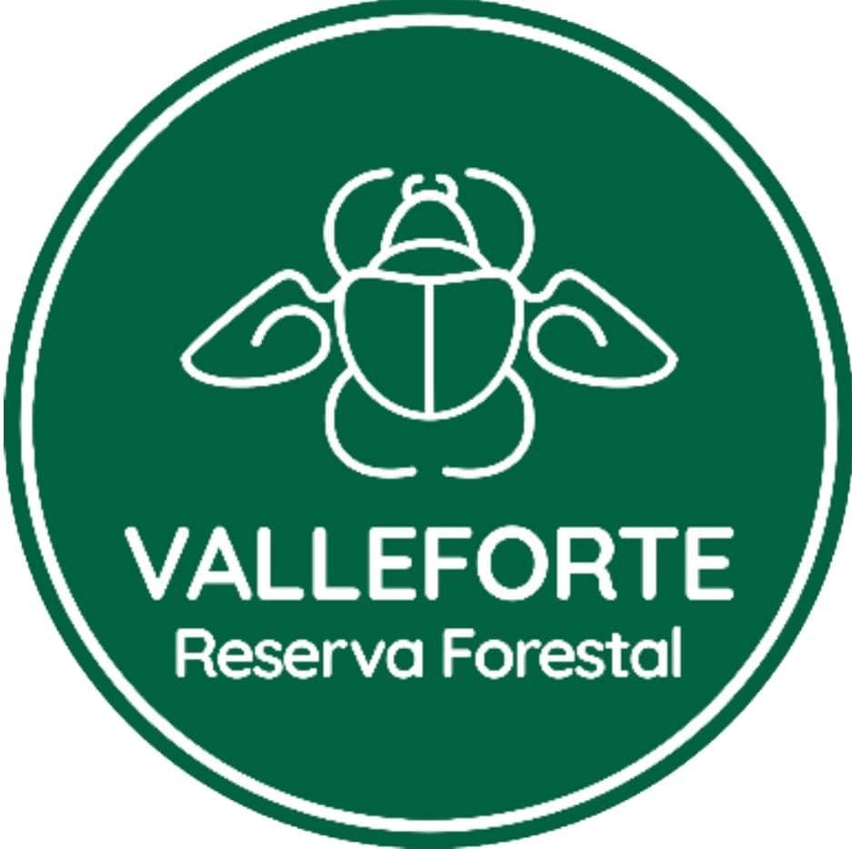 Valleforte
