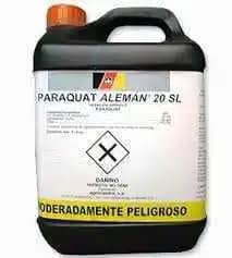 EL ALEMAN.jpg