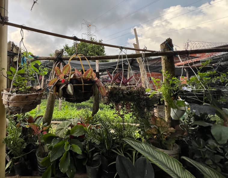 Captura de pantalla 2024-12-20 095501.png