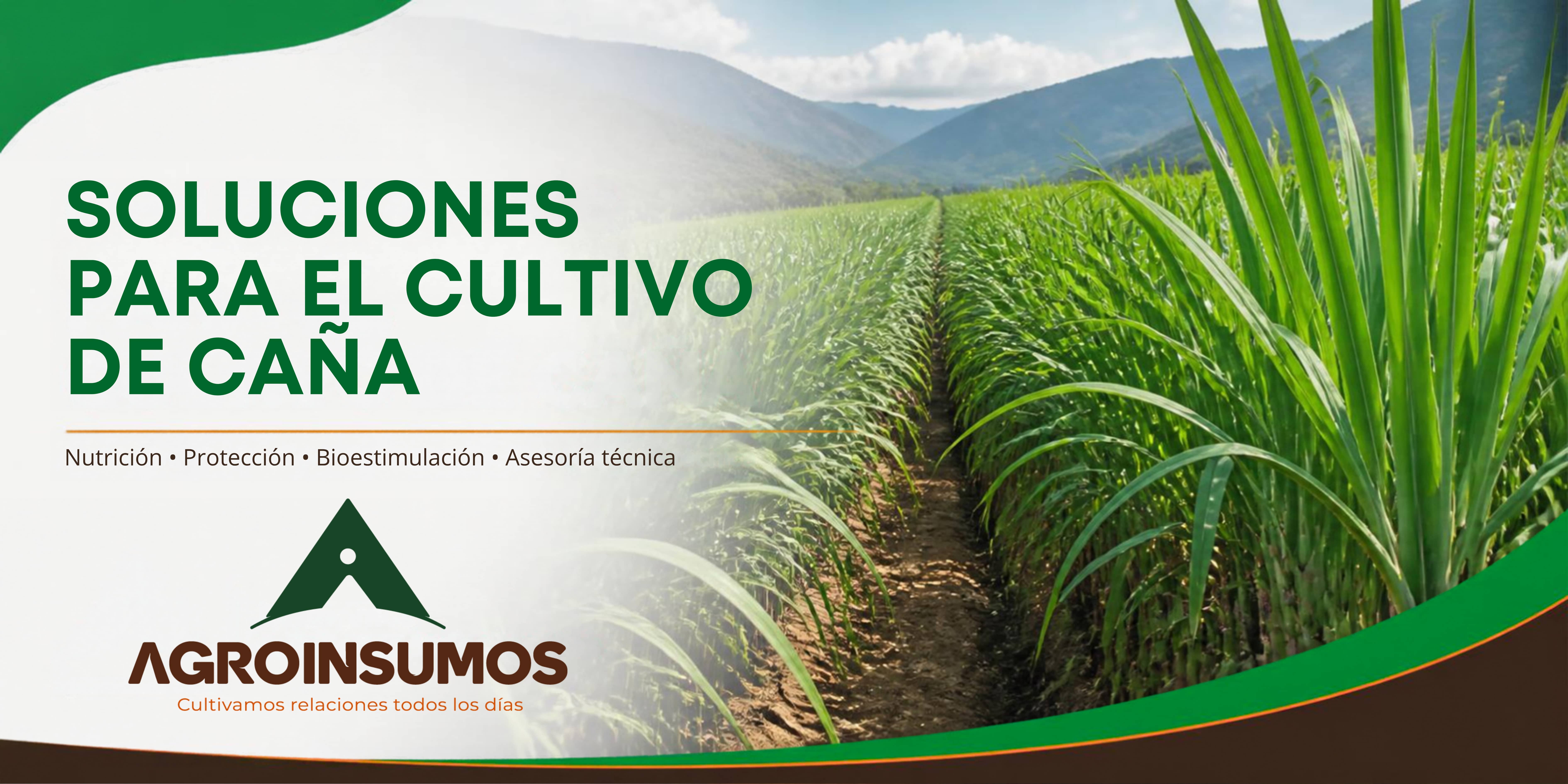 Agroinsumos SAS