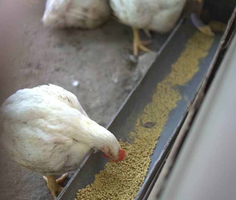 Captura de pantalla 2024-12-10 174808.png