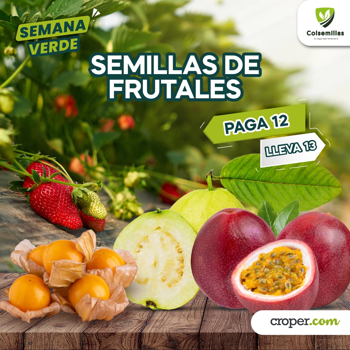 PROMOCIÓN Semillas de Frutales pague 12 Lleve 13