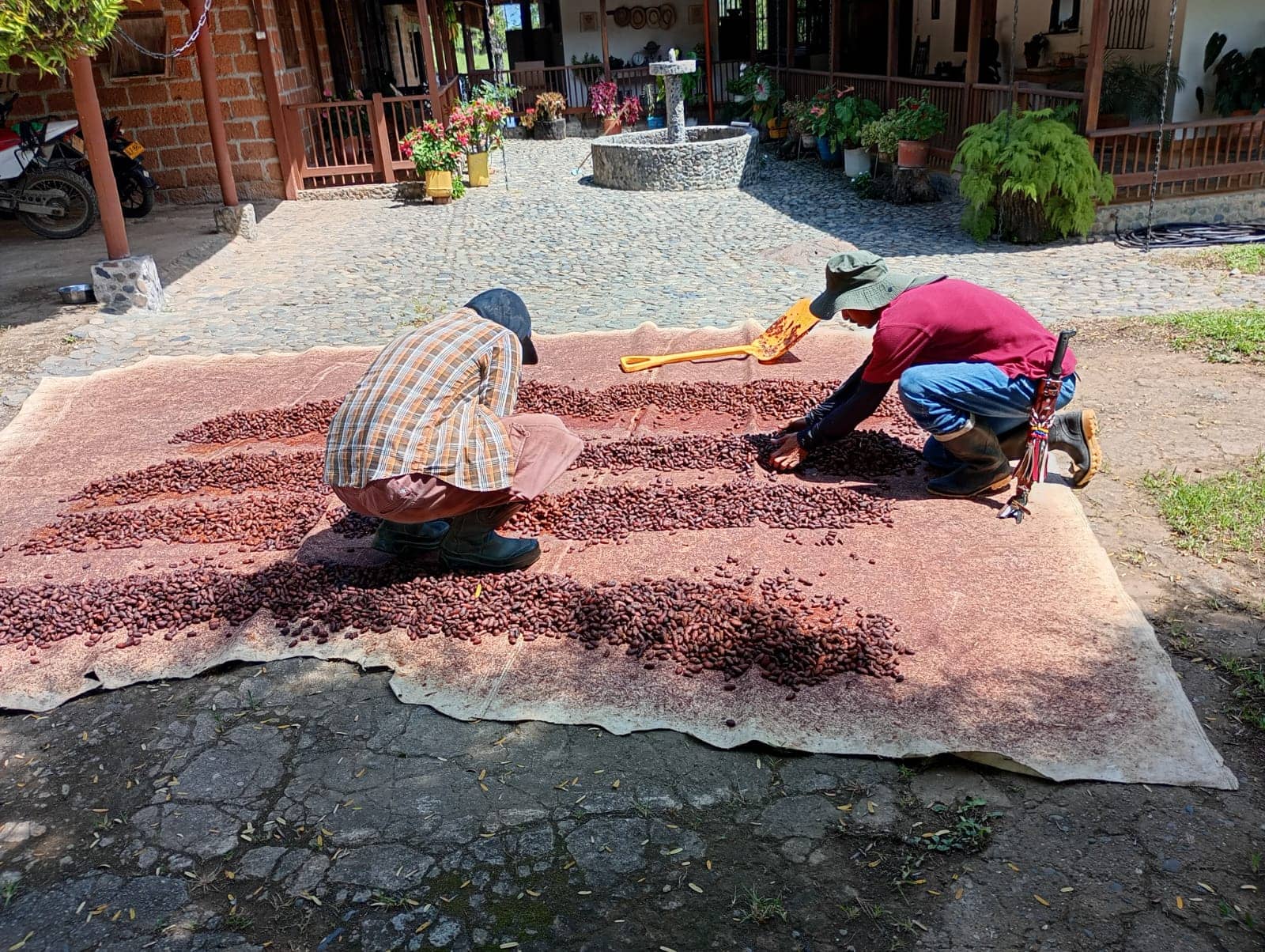 WhatsApp Image 2026-03-06 at 5.56.12 PM (3).jpeg