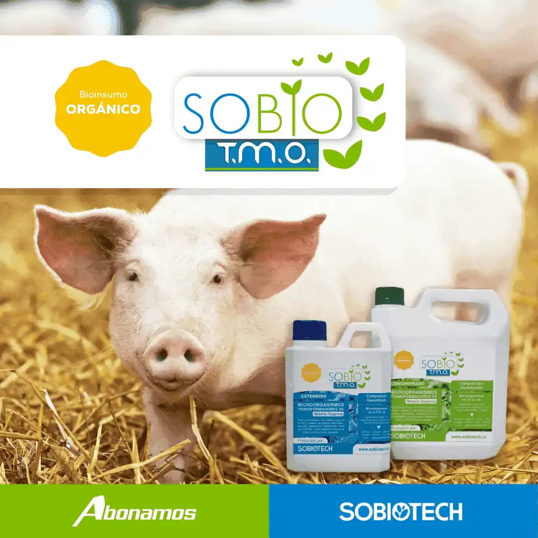 Bioinsumo SobioTMO Extendido x 4 litros