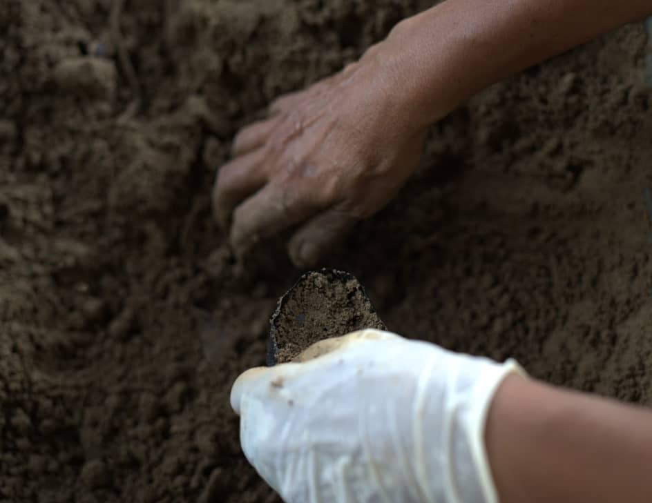 Captura de pantalla 2024-12-20 095936.png