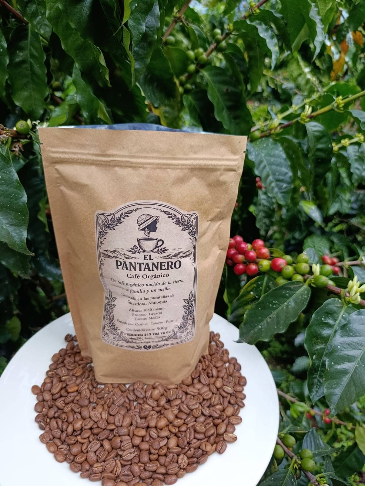 Café Tostado 500 G | Café especial