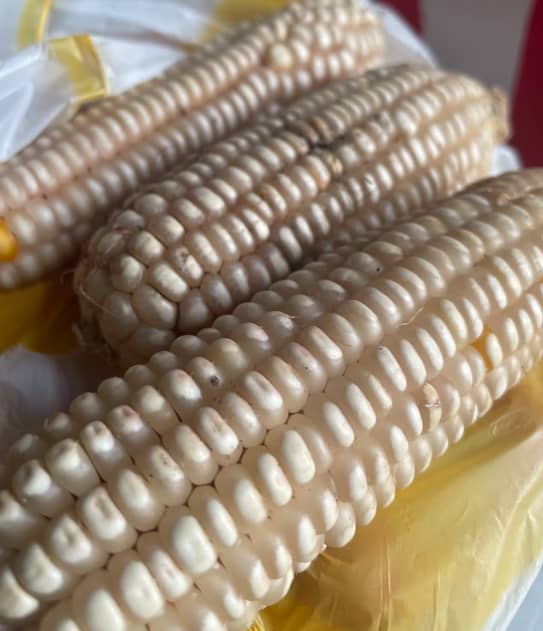 Captura de pantalla 2024-12-20 110551.png