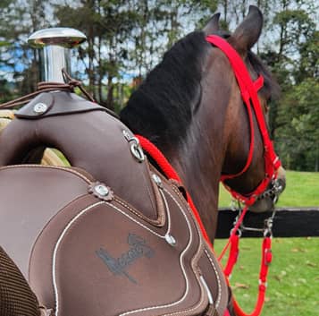 Silla Sabanera De Vaquería MESACÉ - Negra