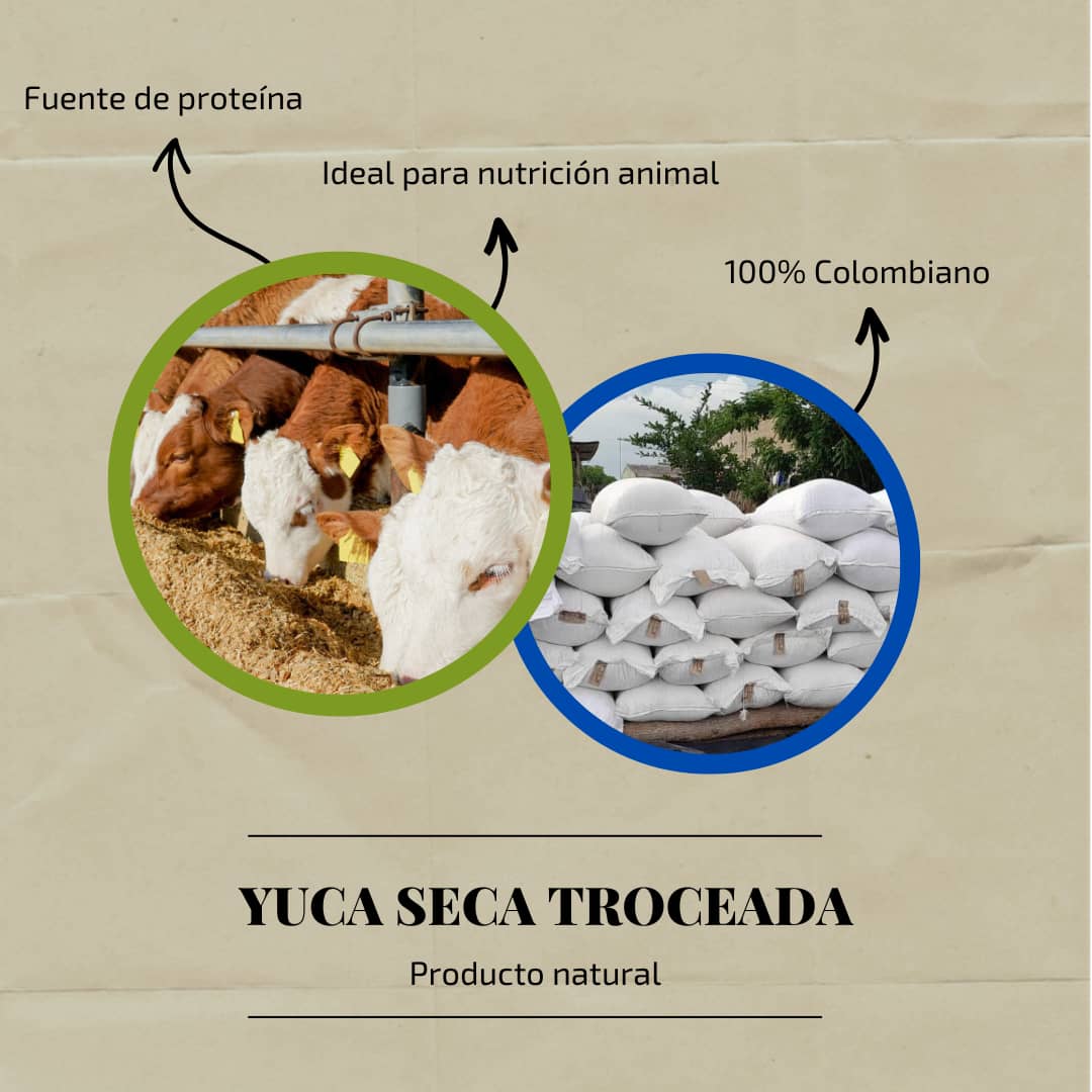 Yuca Seca troceada