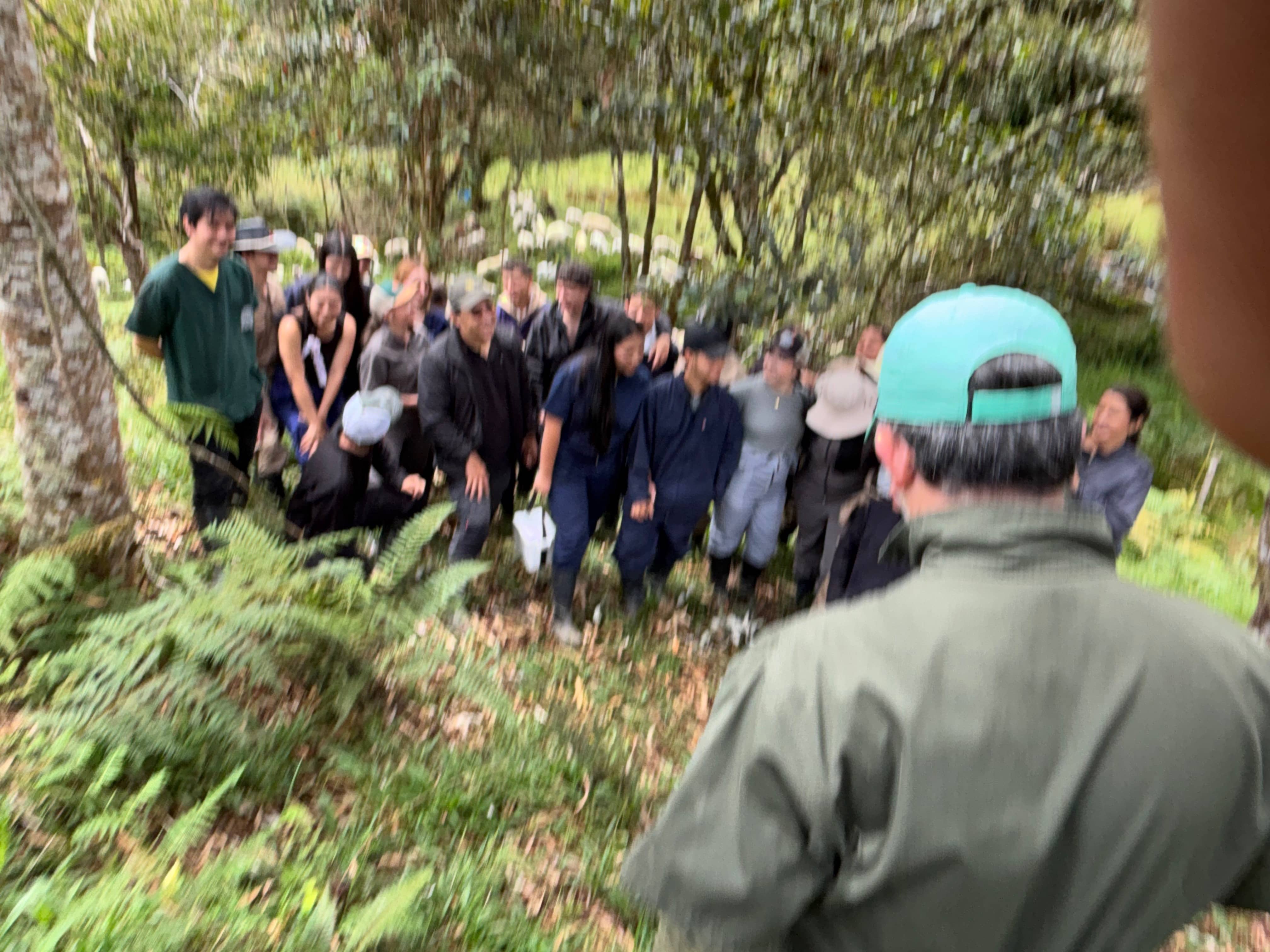 Asistencia tecnica por veterinario para no asociados PROVICA