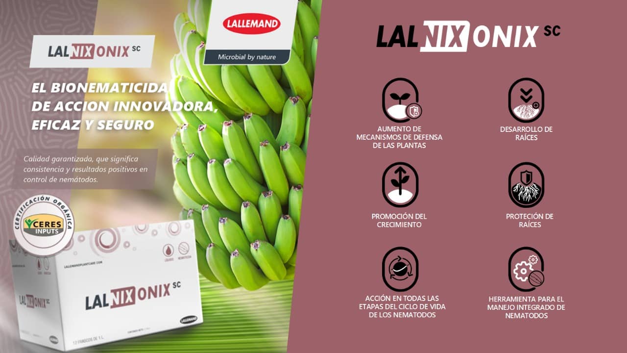 ONIX Bionematicida Bacillus Control Nematodos Colombia