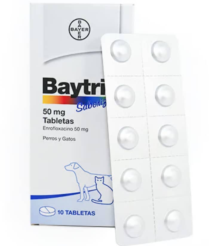 Antibacteriano Baytril x 50 Mg - Elanco