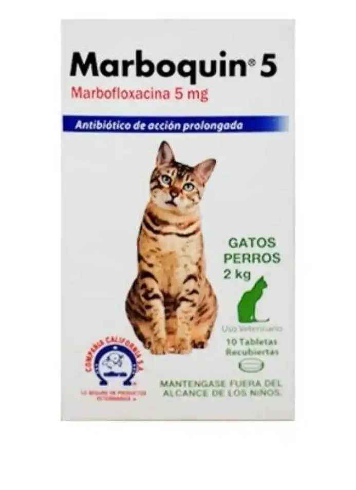 Antibiótico Marboquin 5 mg x 10 tabletas