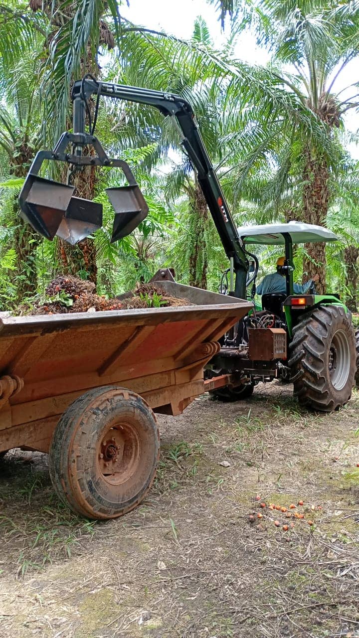 Grúa Grabber AC-80 para recolección de fruto de palma