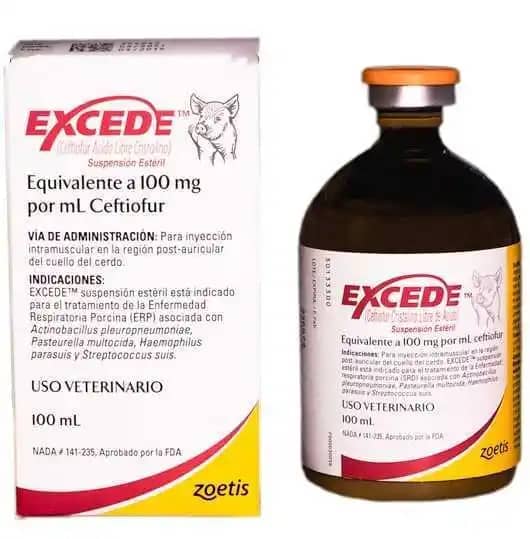 Antibiótico Excede ® Porcinos x 100ml - Zoetis