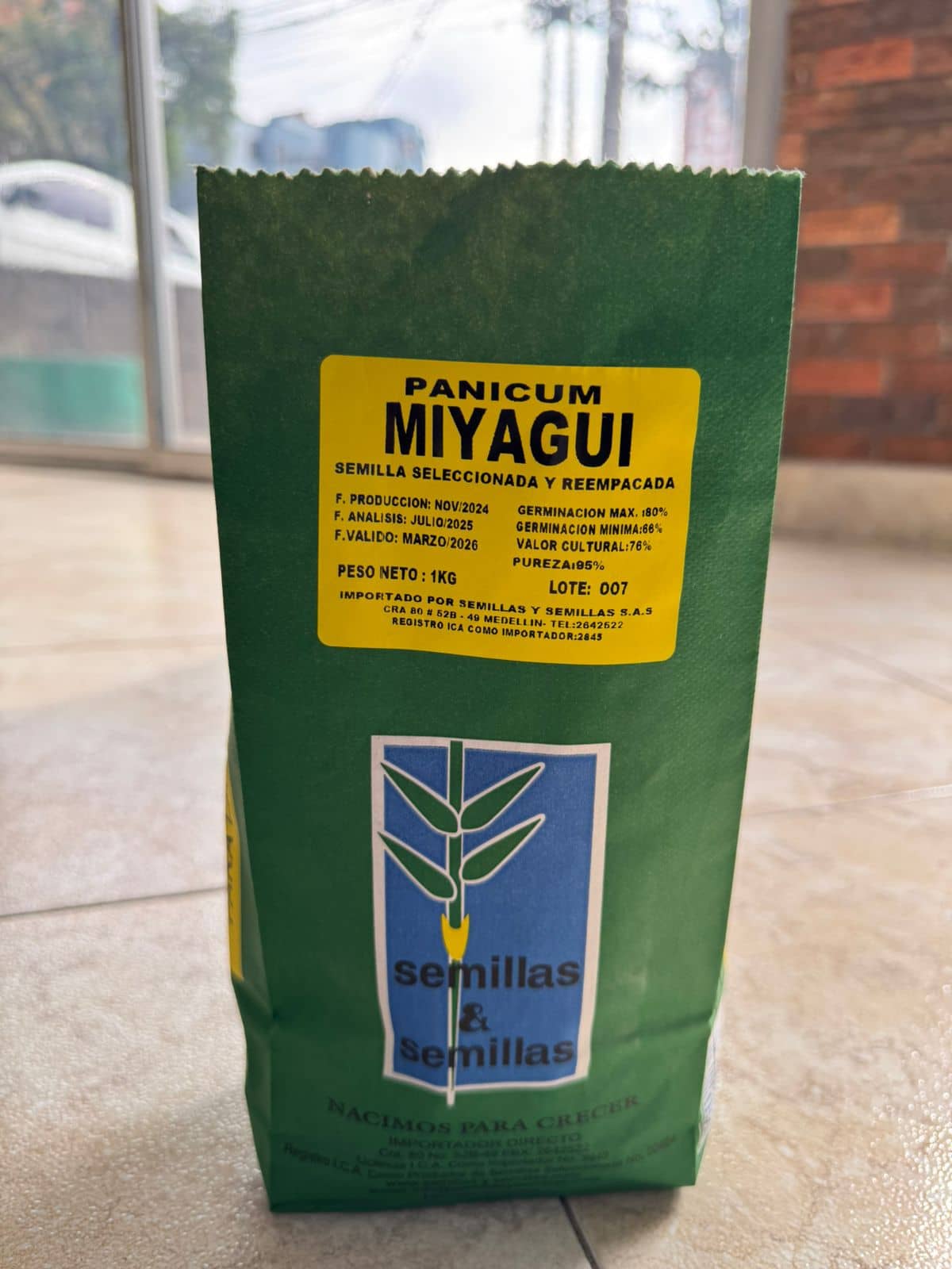 Pasto Miyagui 1 kg – Forraje de alto rendimiento ganadero