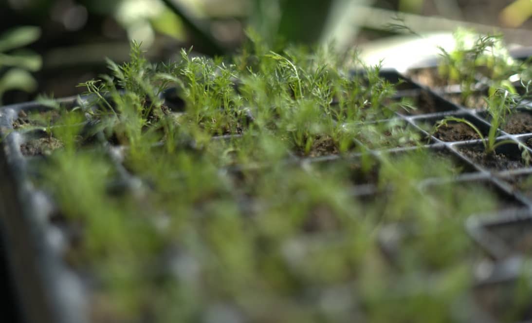 Captura de pantalla 2024-12-10 150225.png