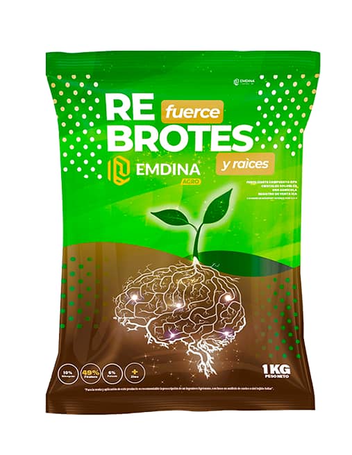 Refuerce Brotes y Raíces