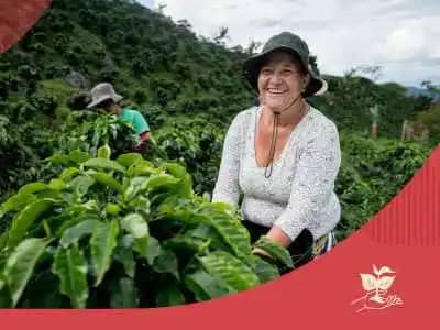 Administración de finanzas para productores de cacao