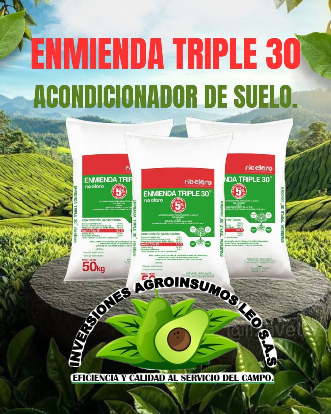 ENMIENDA TRIPLE 30