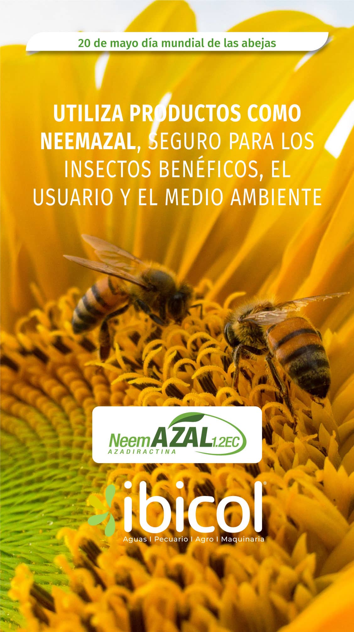 Insecticida NeemAZAL 1lt