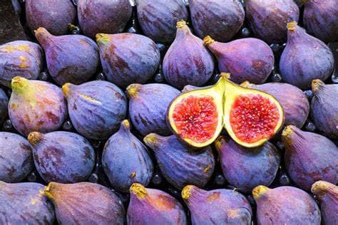 Higo Roma Compra y cotiza Higo | Croper