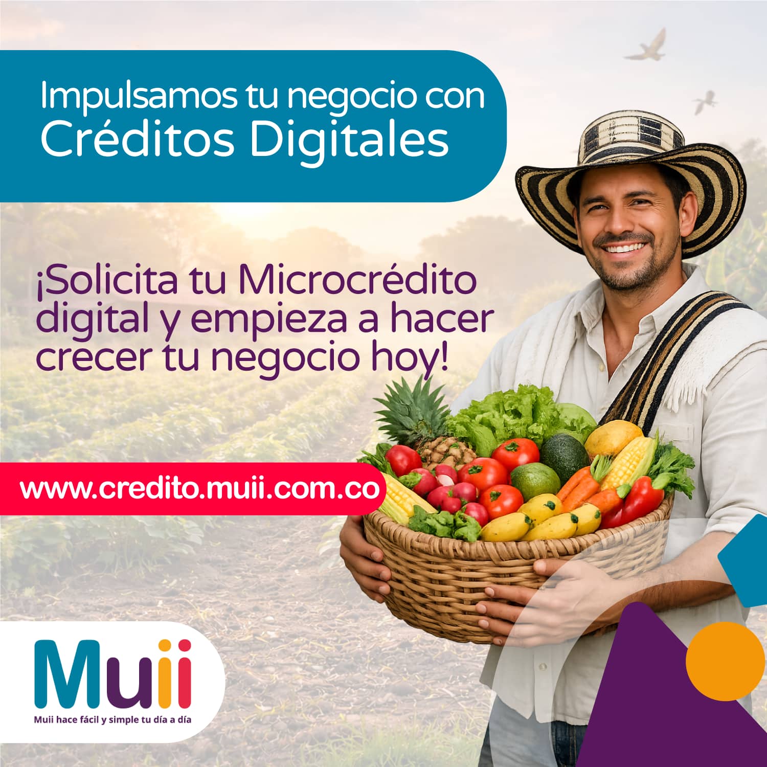 Línea de Microcrédito