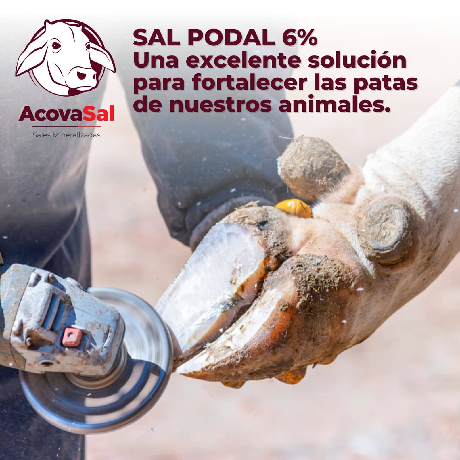 Sal Mineralizada Medicada Podal 6% x 40 Kg