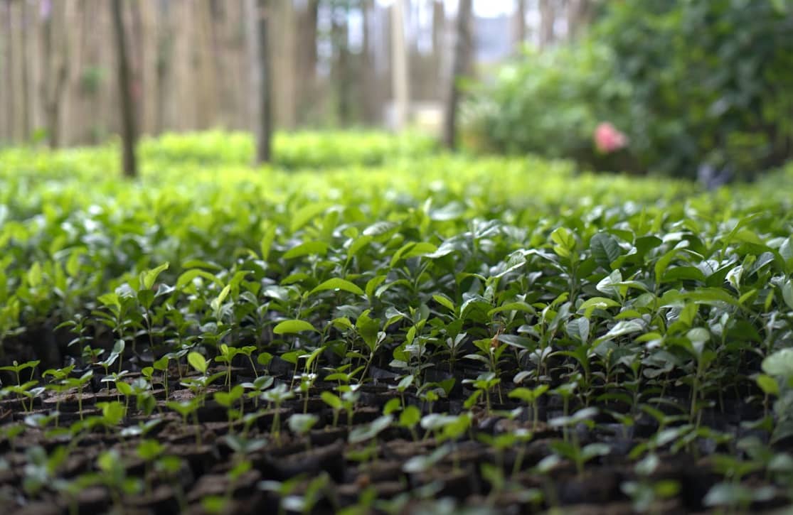 Captura de pantalla 2024-12-20 100005.png