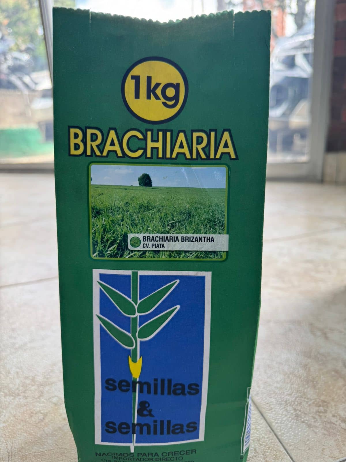 Semilla Brachiaria Brizantha Piatá 1 kg | Pasto forrajero