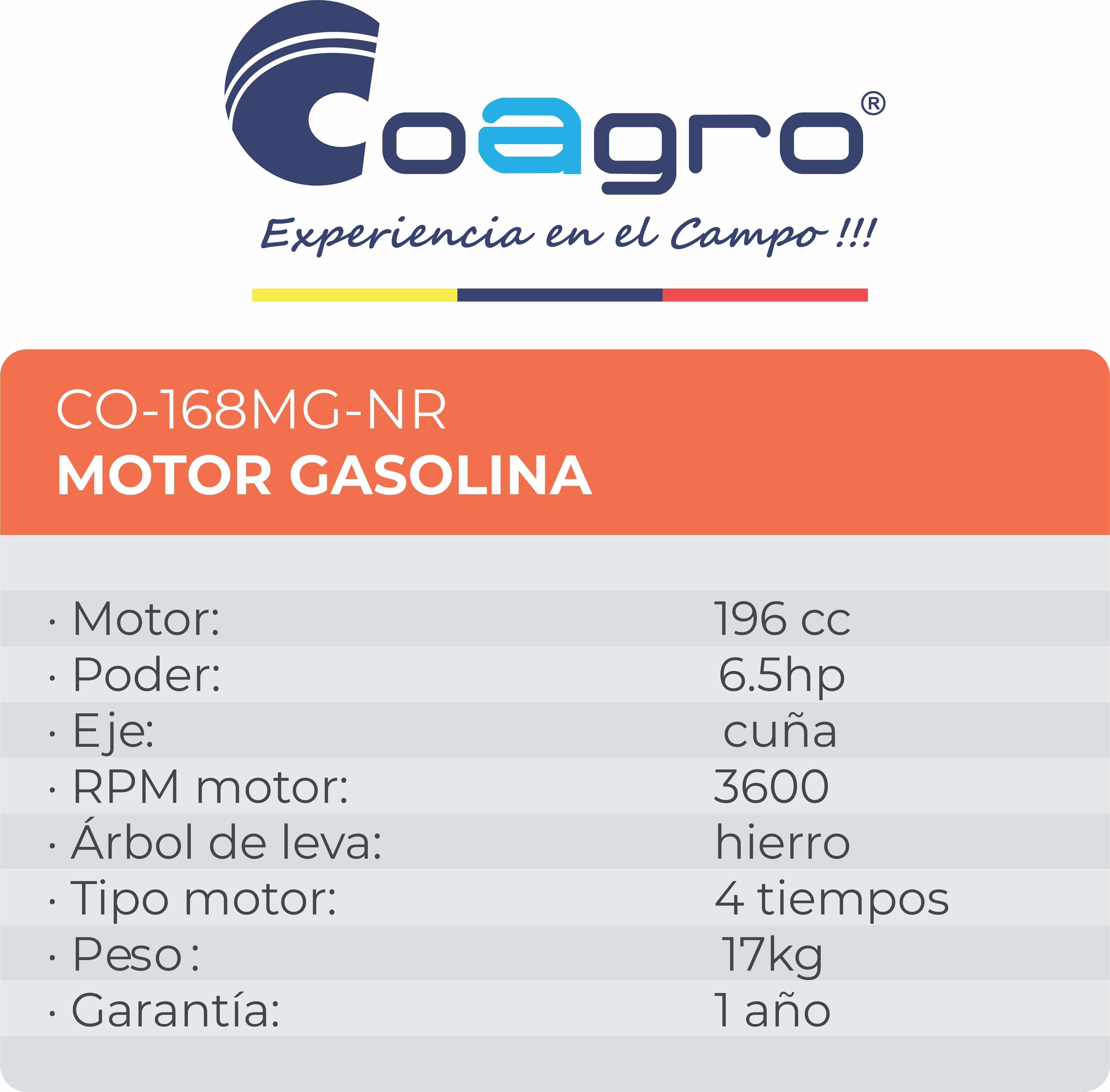Motor a Gasolina 6.5HP a 3600 RPM Tanque Negro
