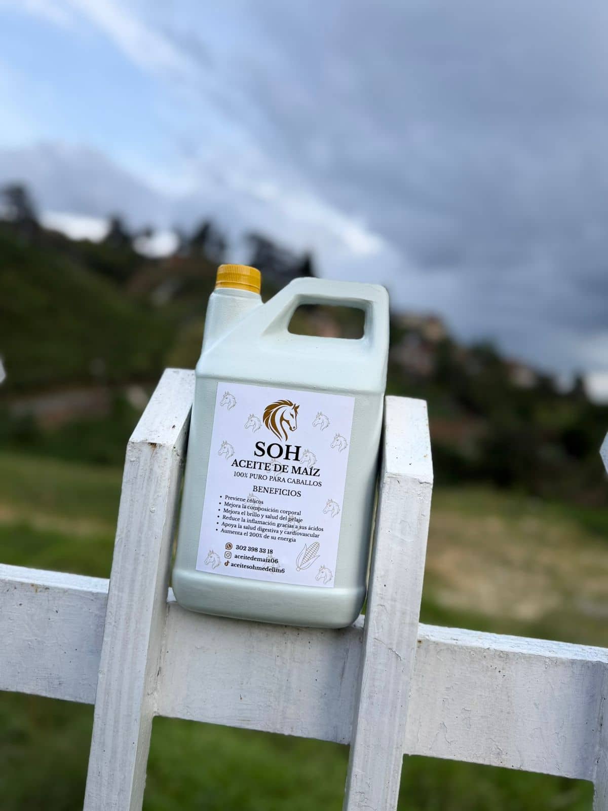 Aceite de Maíz SOH 4L – Suplemento para Caballos.