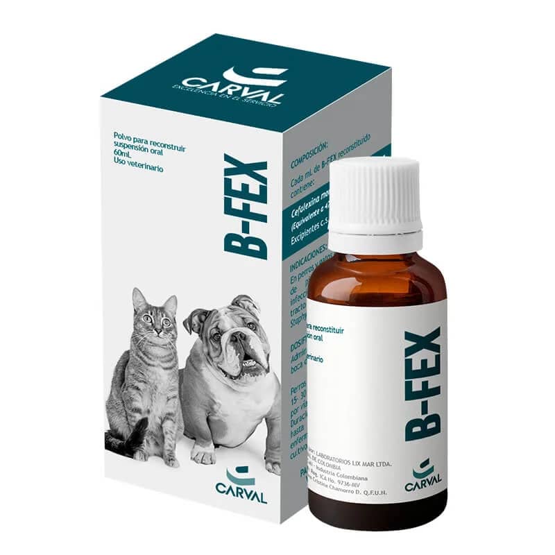 B-Fex 60 mL – Carval | Antibiótico veterinario para piodermas e infecciones