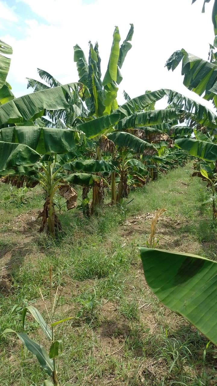 Imagen de WhatsApp 2025-02-21 a las 11.29.58_a9e4b81f.jpg