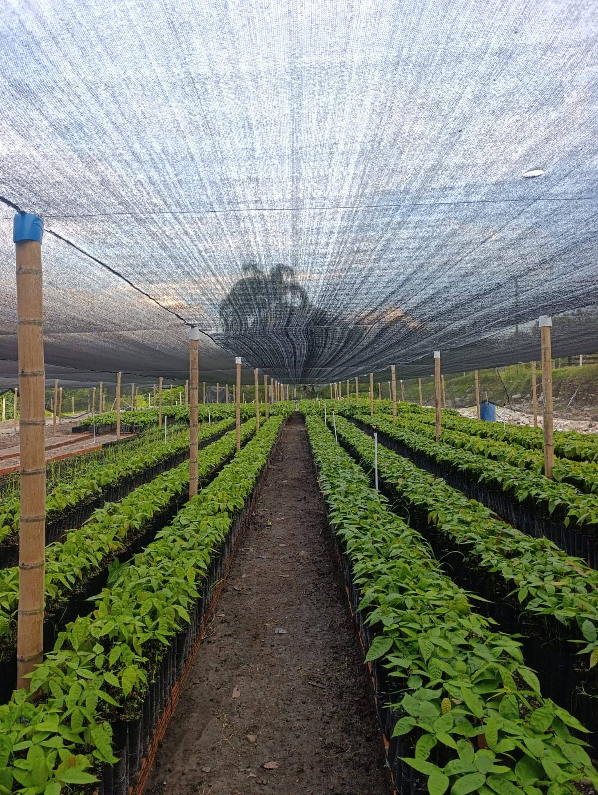 WhatsApp Image 2026-03-05 at 12.20.39.jpeg