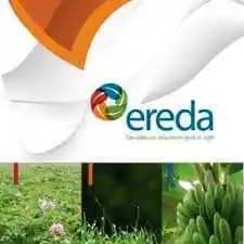 Herbicida Eredapack 1 (Eredacloram, Eredamina, Eredafuron)