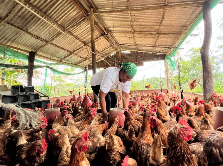 Captura de pantalla 2024-12-18 210137.png