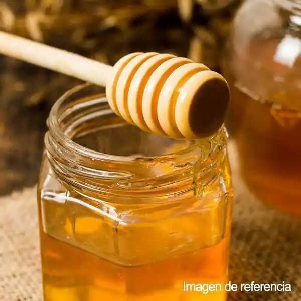Venta de miel de abeja Campo Dulce Fibrarte 500 kg