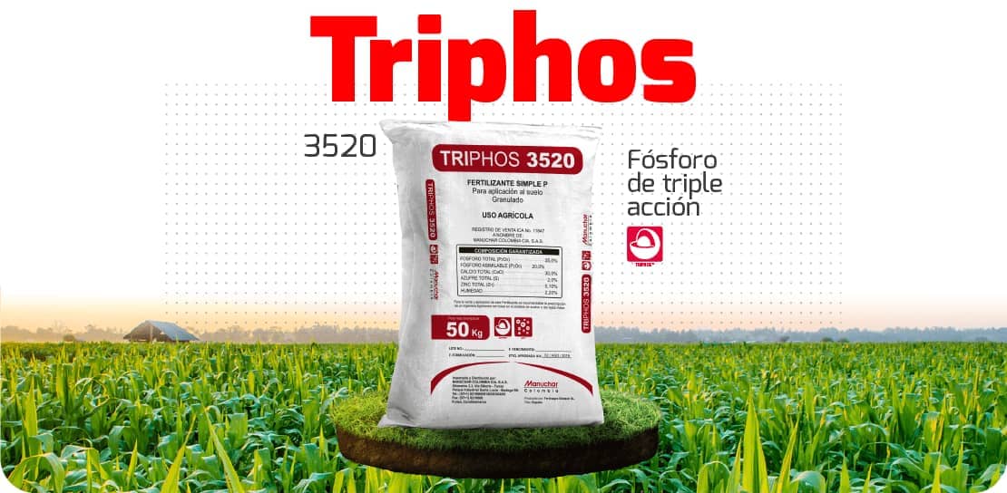 Fertilizante Triphos 10-25 Bulto por 50 Kilogramos