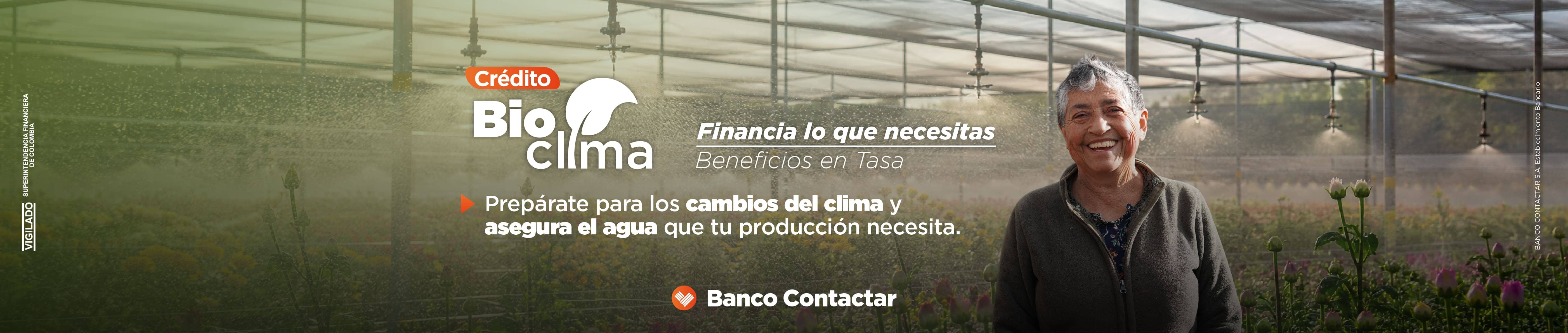 Contactar