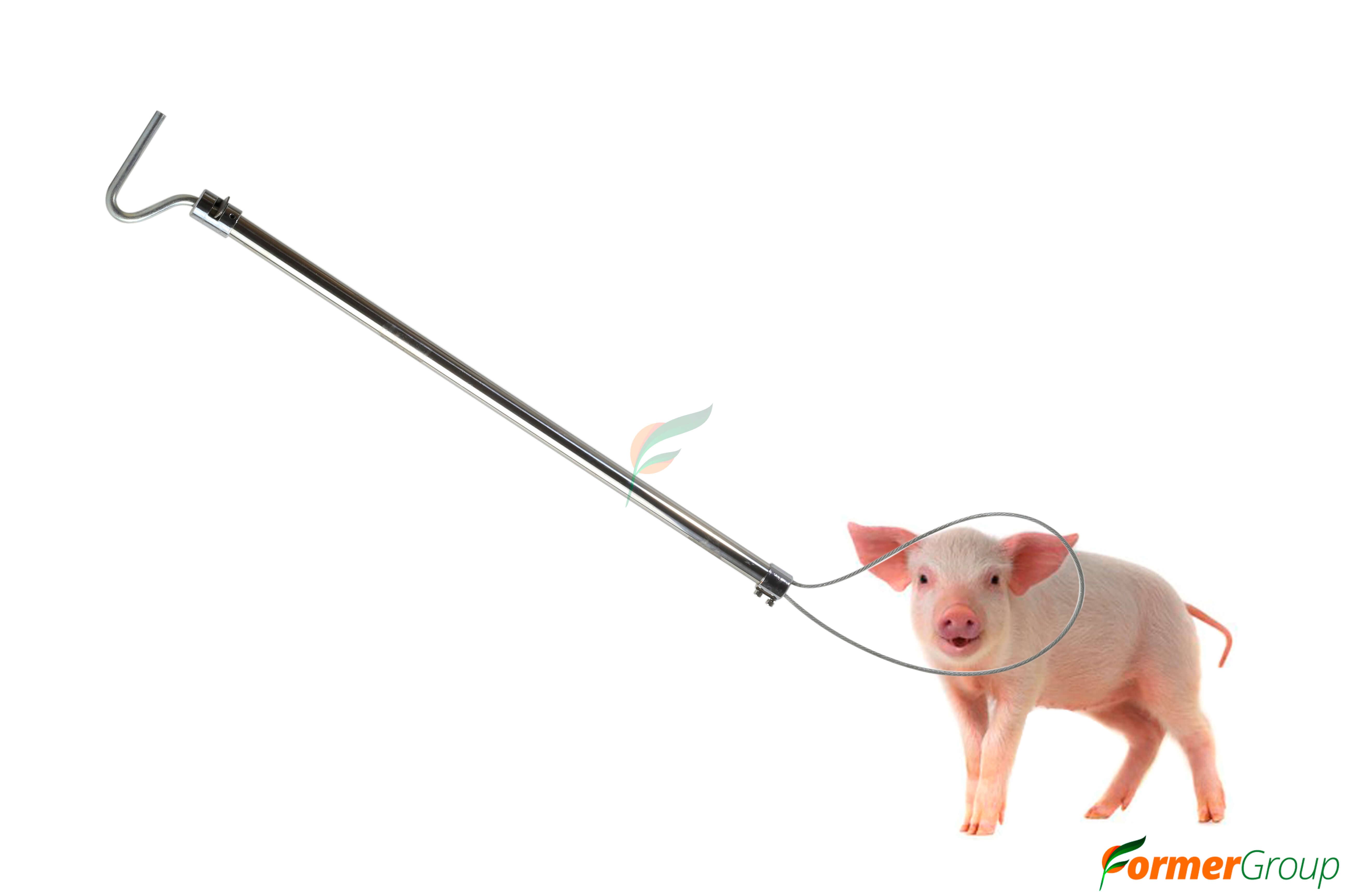 Sujetador para Cerdos y Ovinos 120cm Acero