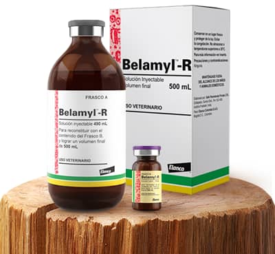 Belamyl cc – Complejo B antianémico para bovinos