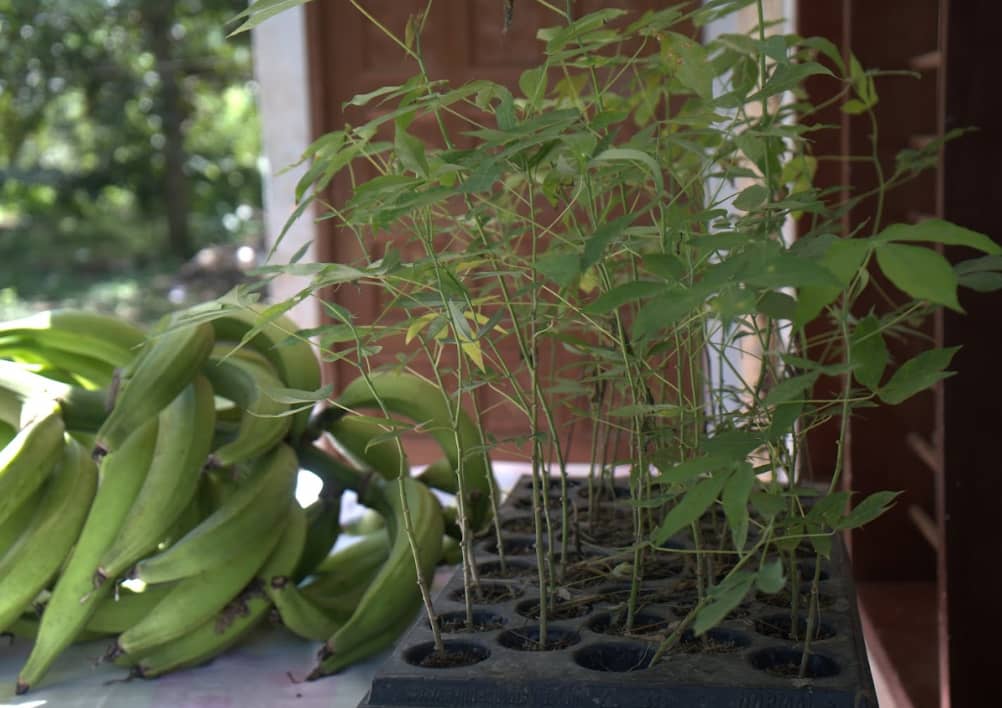 Captura de pantalla 2024-12-11 095032.png