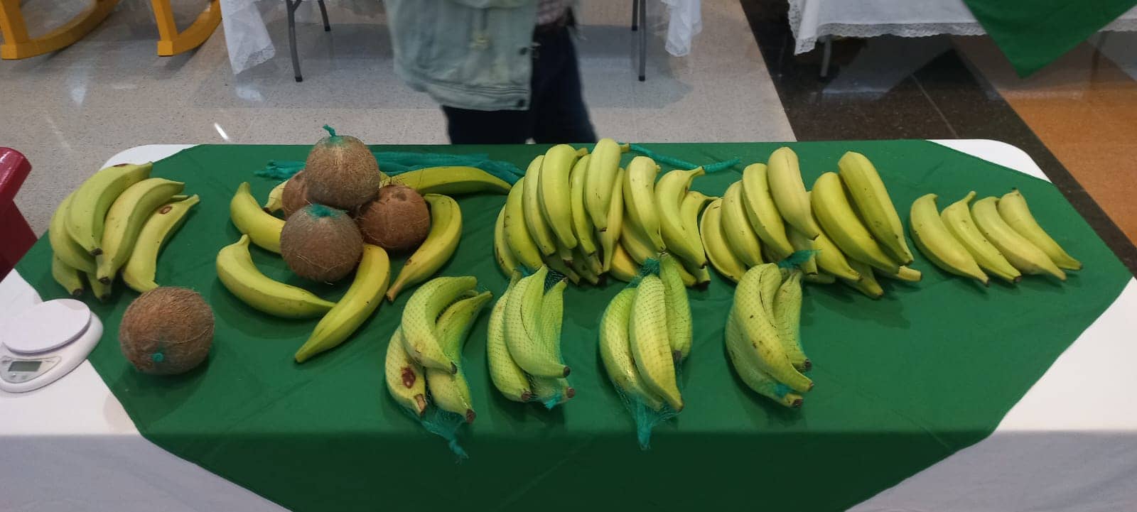 Imagen de WhatsApp 2024-01-26 a las 10.08.31_48be45a4.jpg