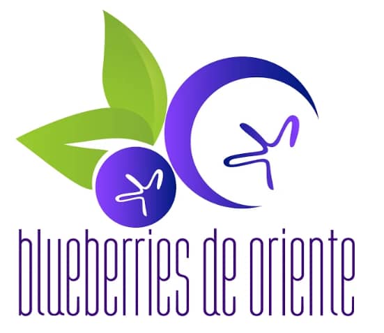 Blueberries de Oriente