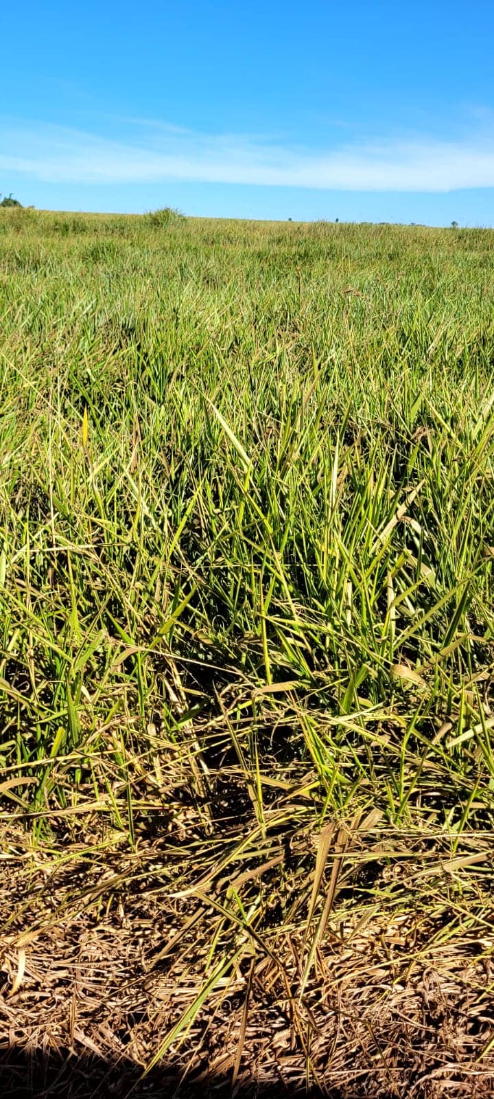 WhatsApp Image 2025-10-31 at 2.52.37 PM (2).jpeg