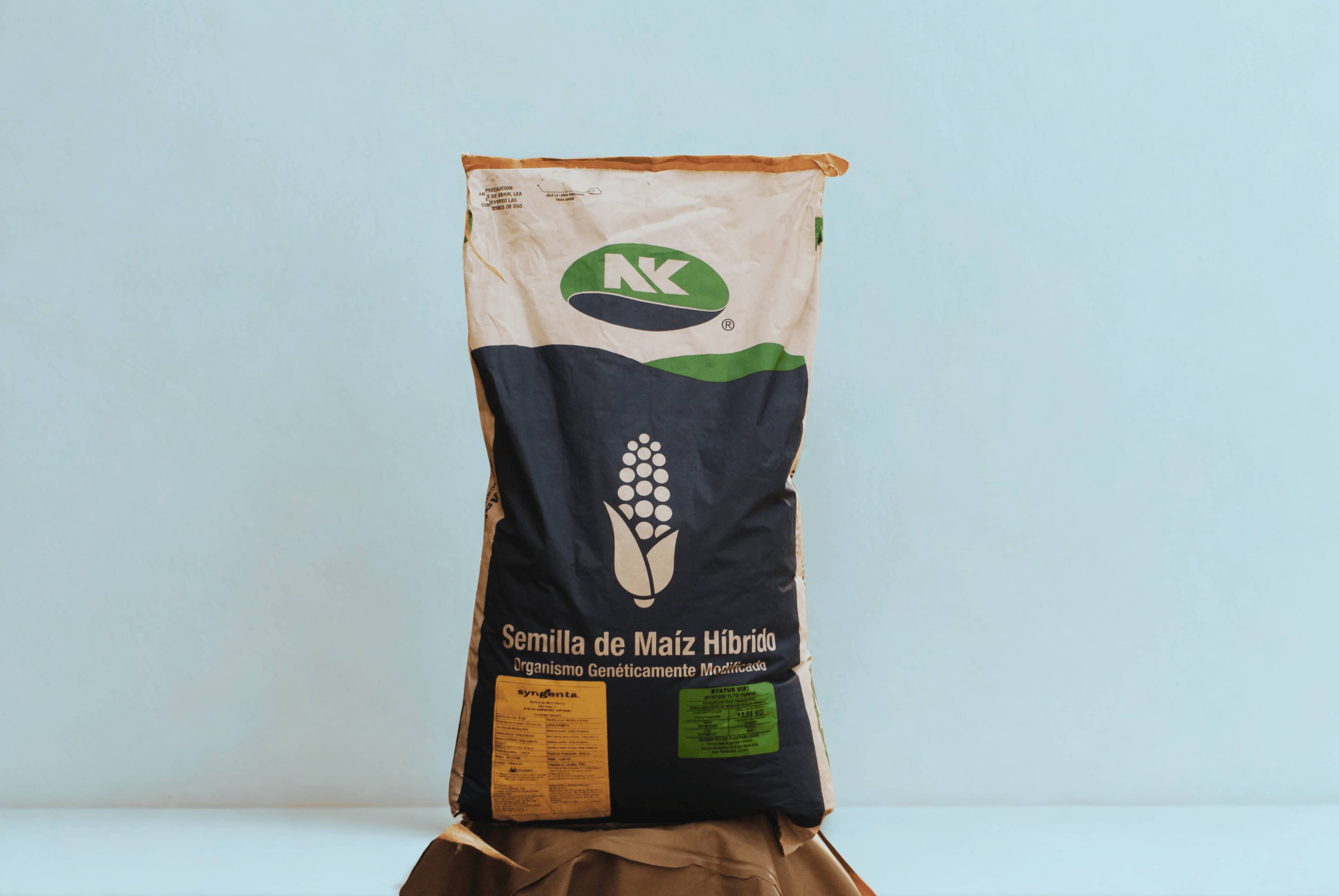 Semilla de Maíz Amarillo Status Vip3 60,000 Semillas