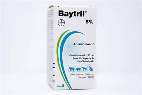 Baytril 5% 50 cc – Antibiótico inyectable para ganado