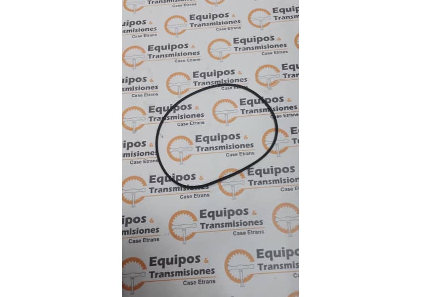 O-Ring - 405462R1